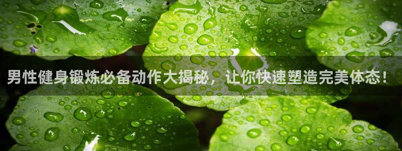 ag尊龙凯时中国官网
