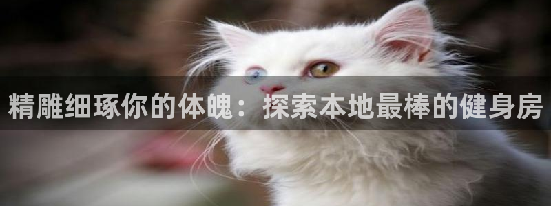 尊龙凯时平台信誉怎样