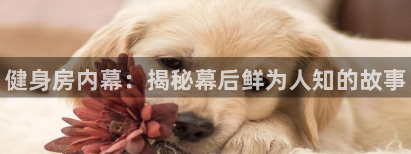 尊龙凯时-人生就是搏!